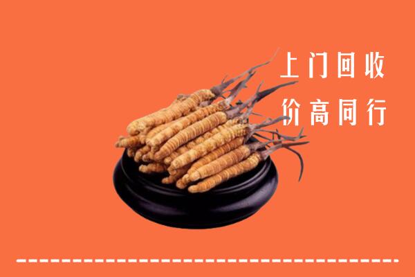 高价求购：洛阳市回收散虫草